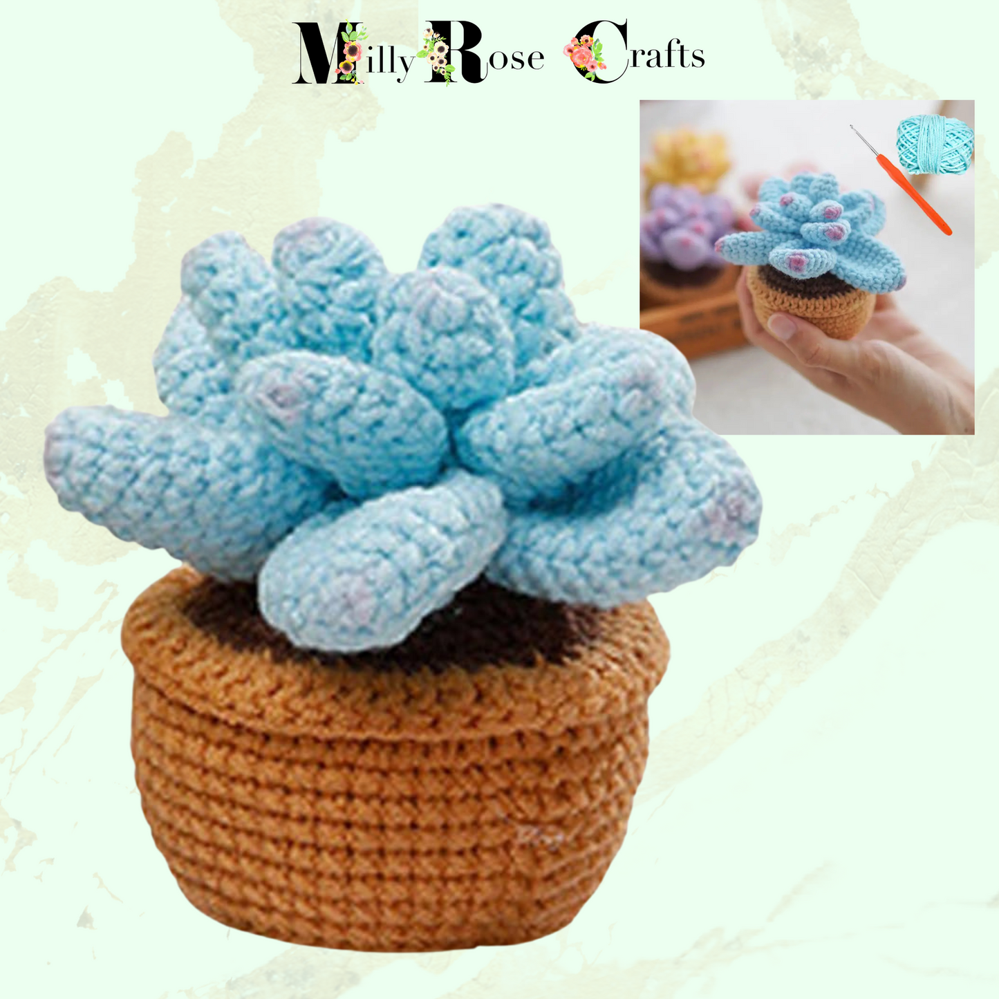 Succulent Crochet Kit  Cacti Beginner Crochet Set Complete Amigurumi Crochet Set Plant Knitting Kit Pattern Craft Gift Idea