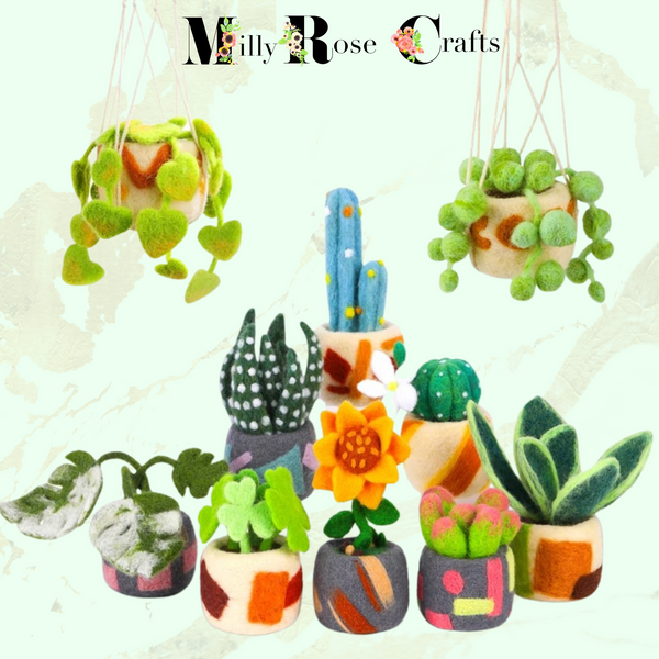 Monstera Needle Felting Kit, Cacti in Pots Needle Felting Hanging Plants Wool Felting Mat 25 Felting Needles Craft Gift