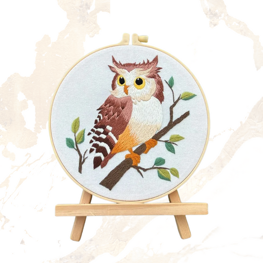 Owl Embroidery Kits DIY Beginner Adults Bird Embroidery Thread Painting Kit Stamped Cross Stitch Craft Gift Idea Embroidery kit Embroidery Kits