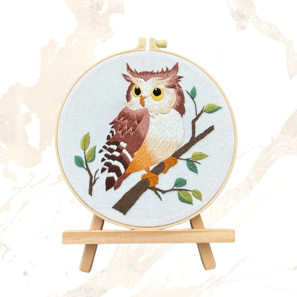 Owl Embroidery Kits DIY Beginner Adults Bird Embroidery Thread Painting Kit Stamped Cross Stitch Craft Gift Idea