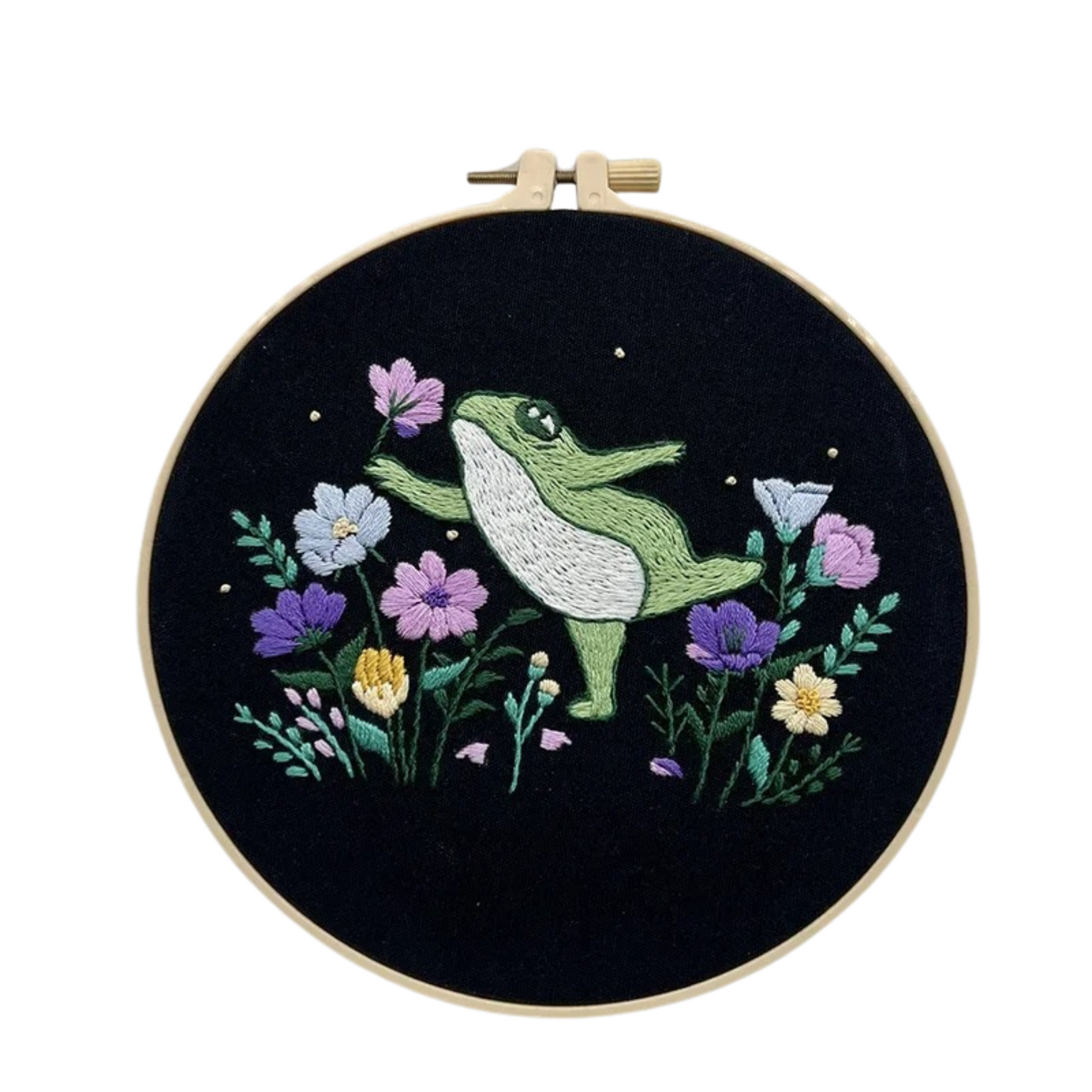 Frog embroidery  kit