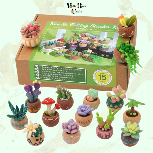 Succulent Needle Felting Kit, Cacti in Pots Needle Felting Kit 6-9-15 Cacti Felting Kit Wool Felting Mat 12 Felting Needles Craft Gift