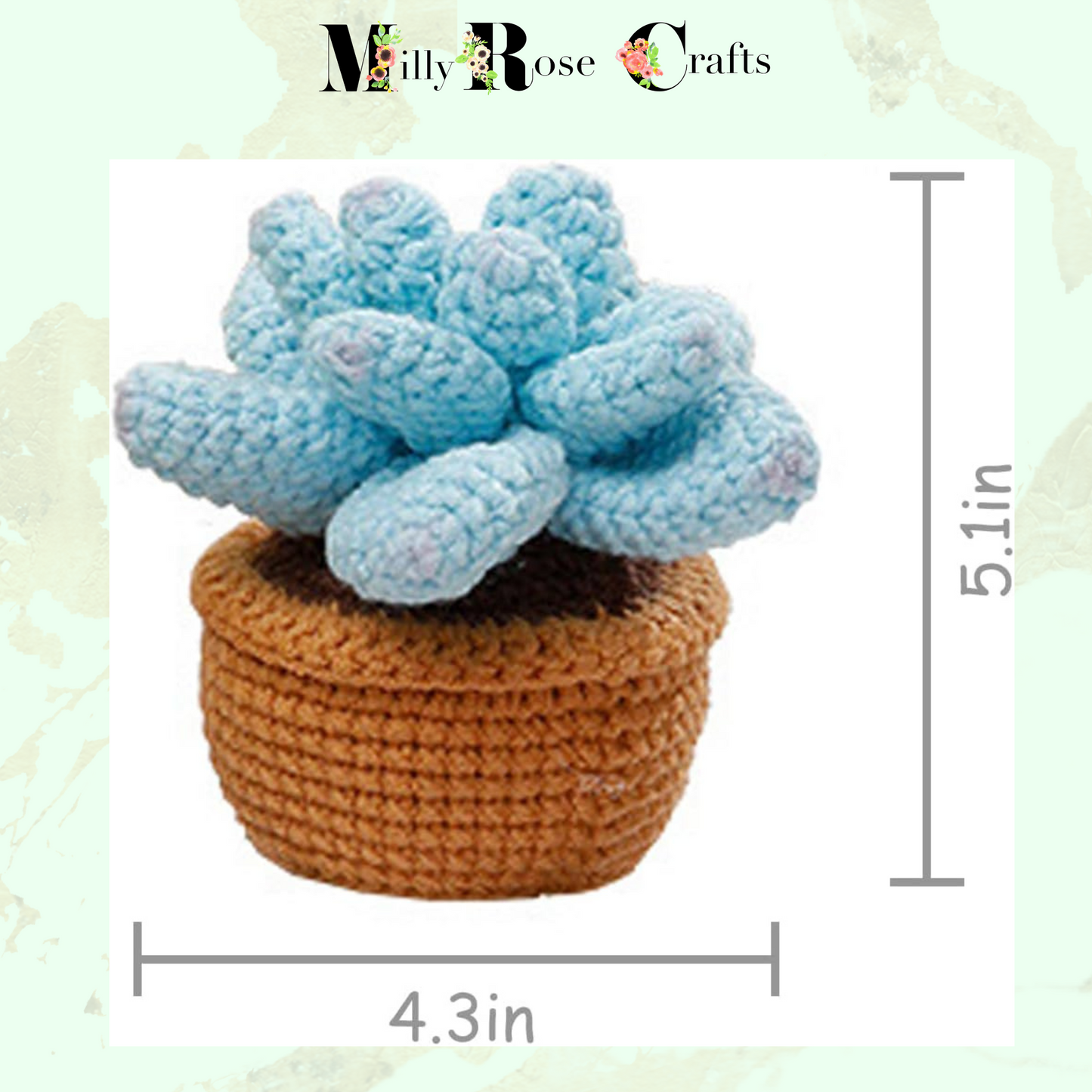 Succulent Crochet Kit  Cacti Beginner Crochet Set Complete Amigurumi Crochet Set Plant Knitting Kit Pattern Craft Gift Idea