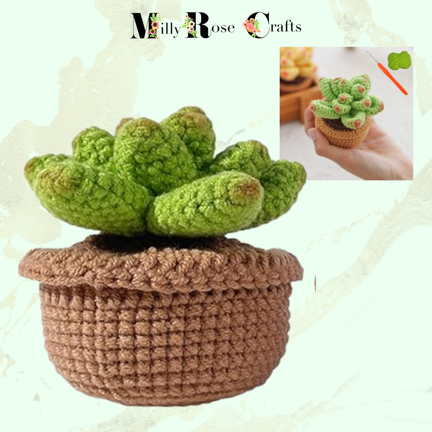 Succulent Crochet Kit  Cacti Beginner Crochet Set Complete Amigurumi Crochet Set Plant Knitting Kit Pattern Craft Gift Idea