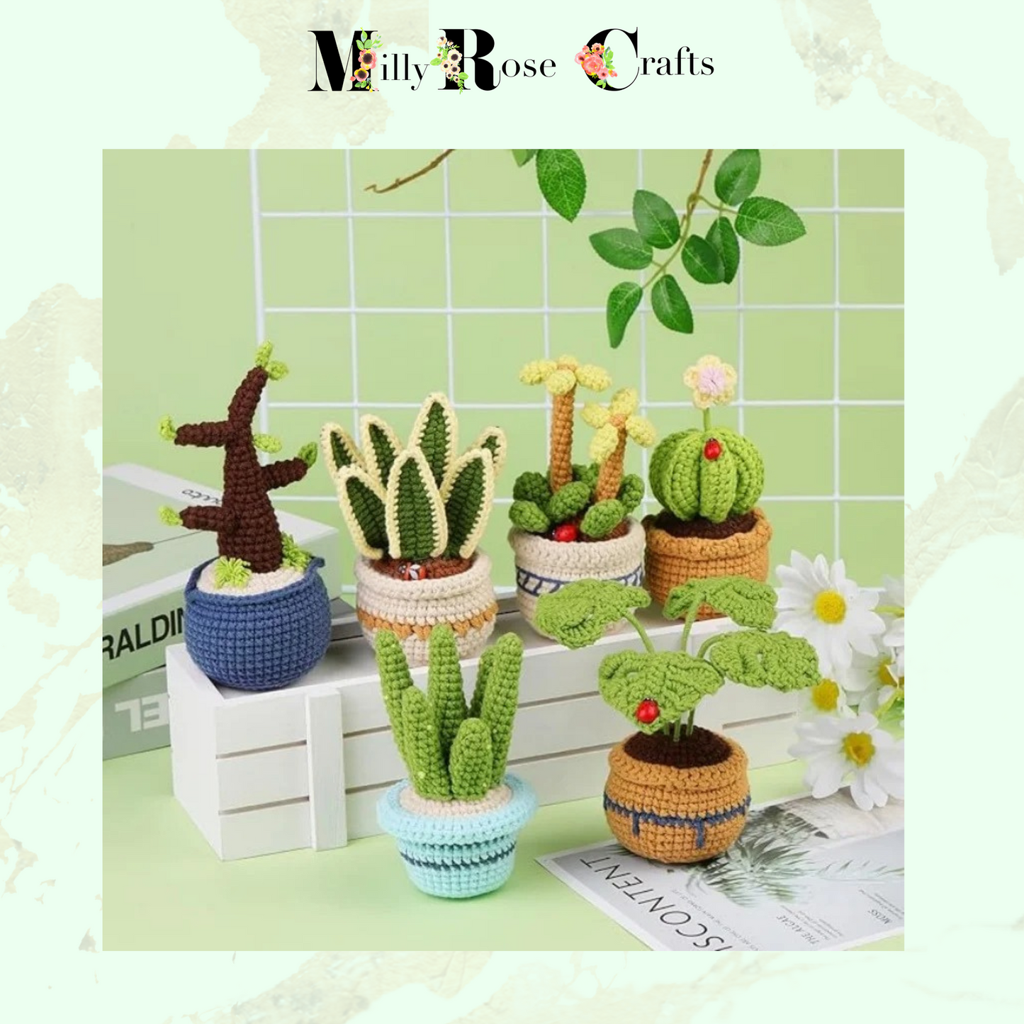 Houseplant Crochet Kit, Cacti in Pot Crochet Kit Monstera Plant Knitting Kit Beginner Friendly DIY Crochet Kit Craft Gift