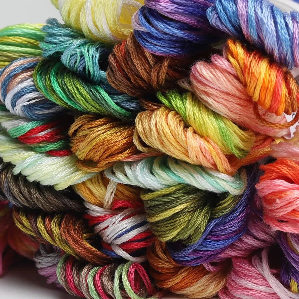 Variegated Embroidery Thread 40 Colors Egyptian Cotton Skeins