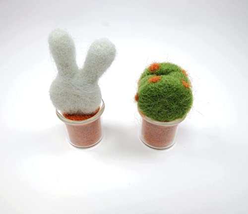 Succulent Needle Felting Kit