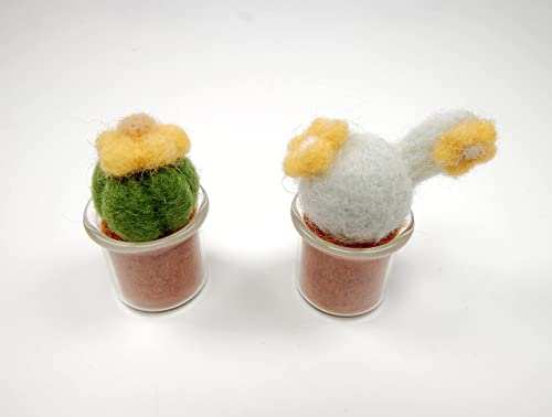 Succulent Needle Felting Kit