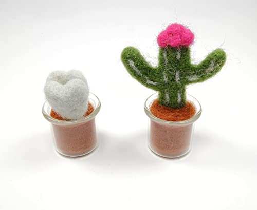 Succulent Needle Felting Kit