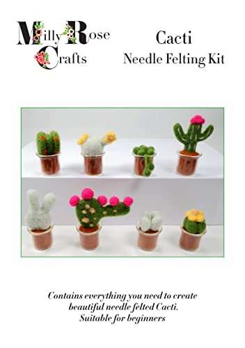 Succulent Needle Felting Kit