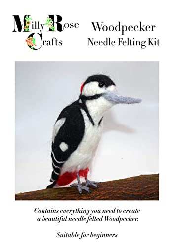 Woodpecker Needle Felting Kit