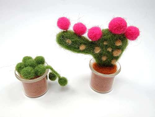 Succulent Needle Felting Kit